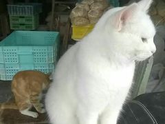 -华良切面店(航建大楼店)