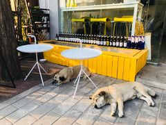 -五进制 Coffee Shop