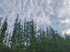 -良渚古城遗址公园