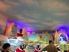 -帝企鹅自助餐厅•儿童岛•真企鹅(长隆企鹅酒店)