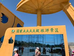 -金塔沙漠胡杨林景区
