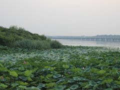-丁香湖公园