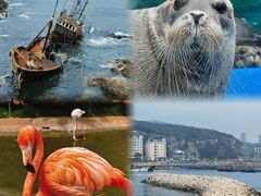 -大连老虎滩海洋公园