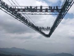 -梦幻奥陶纪景区