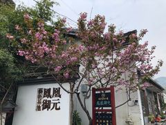 -凤凰御元艺术基地