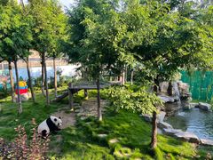 -西霞口神雕山野生动物世界