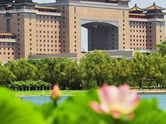 -莲花池公园
