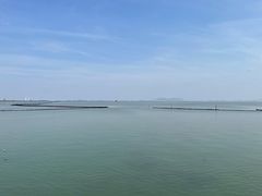 -贡湖湾湿地公园