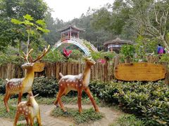 -海南文笔峰盘古文化旅游区