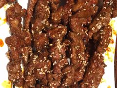 生烤羊肉串-沙力海(北大街店)