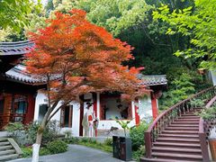 -十八棵（老龙井）御茶园(老龙井店)