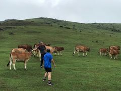 -大姆山草场