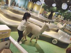 -zoonana室内动物园(东方福来德店)