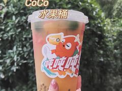 -CoCo都可(宝龙店)