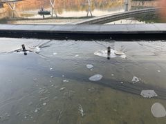 -闻泰花园酒店