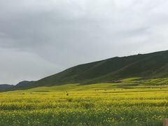 -扁都口生态休闲旅游区