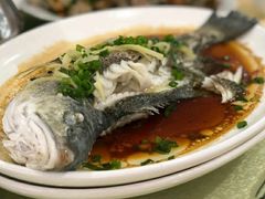 清蒸白花鱼-源海渔村·现捞海鲜(大角湾店)