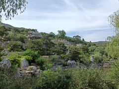 -北京西山国家森林公园