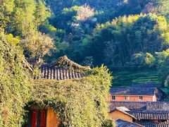 -杨家堂村