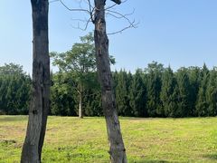 -汉长安城未央宫国家考古遗址公园