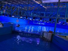 -烟台海昌鲸鲨海洋公园