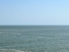 -广东惠东海龟国家级自然保护区