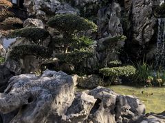 -檀园