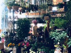 -莫太花餐厅(河北路店)