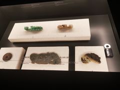 -四川大学博物馆