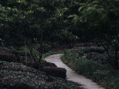 -西山风景区