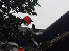 -峨眉山报国寺