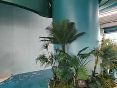 -厦门邮轮中心厦鼓码头(轮渡站)