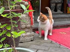 -老外街
