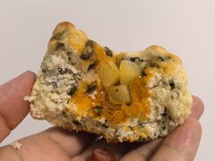 -1点点(汇海广场店)