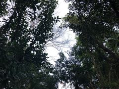 -湖泉半山温泉