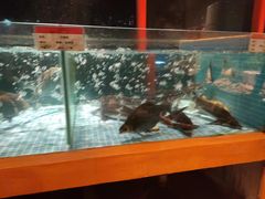 水产区-回头食客-李久其家民间餐厅(望城金桥国际店)
