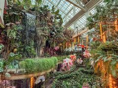 -正佳雨林生态植物园