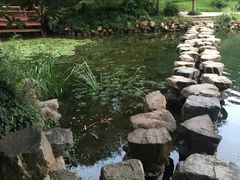 -紫霞湖公园