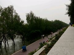 -宝安西湾红树林湿地公园