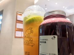 满瓶多肉桑-喜茶(太原印象城店)