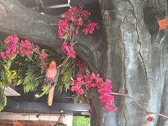 -草原塞蛮羊火锅城(港湾店)