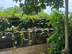 -江阴君山寺
