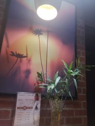 -时尚殿堂·颜SPA