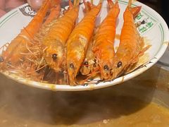 -禄婶鸡煲·打边炉