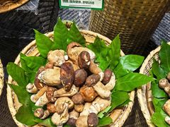 -黔蘑菇四季餐厅(观山湖店)