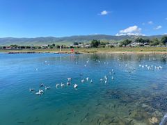 -青海湖国家重点风景名胜区