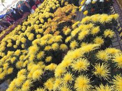 -珠海市体育中心-游泳馆