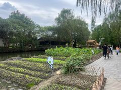 -溱湖国家湿地公园