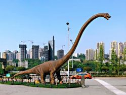 -恐龙探索乐园(磁器口店)