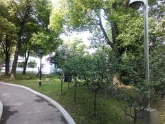 android_upload_pic-新富汇西郊公馆(怡甸别墅店)